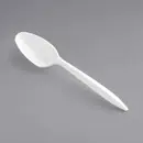 Medium Weight plastic Teaspoon - 